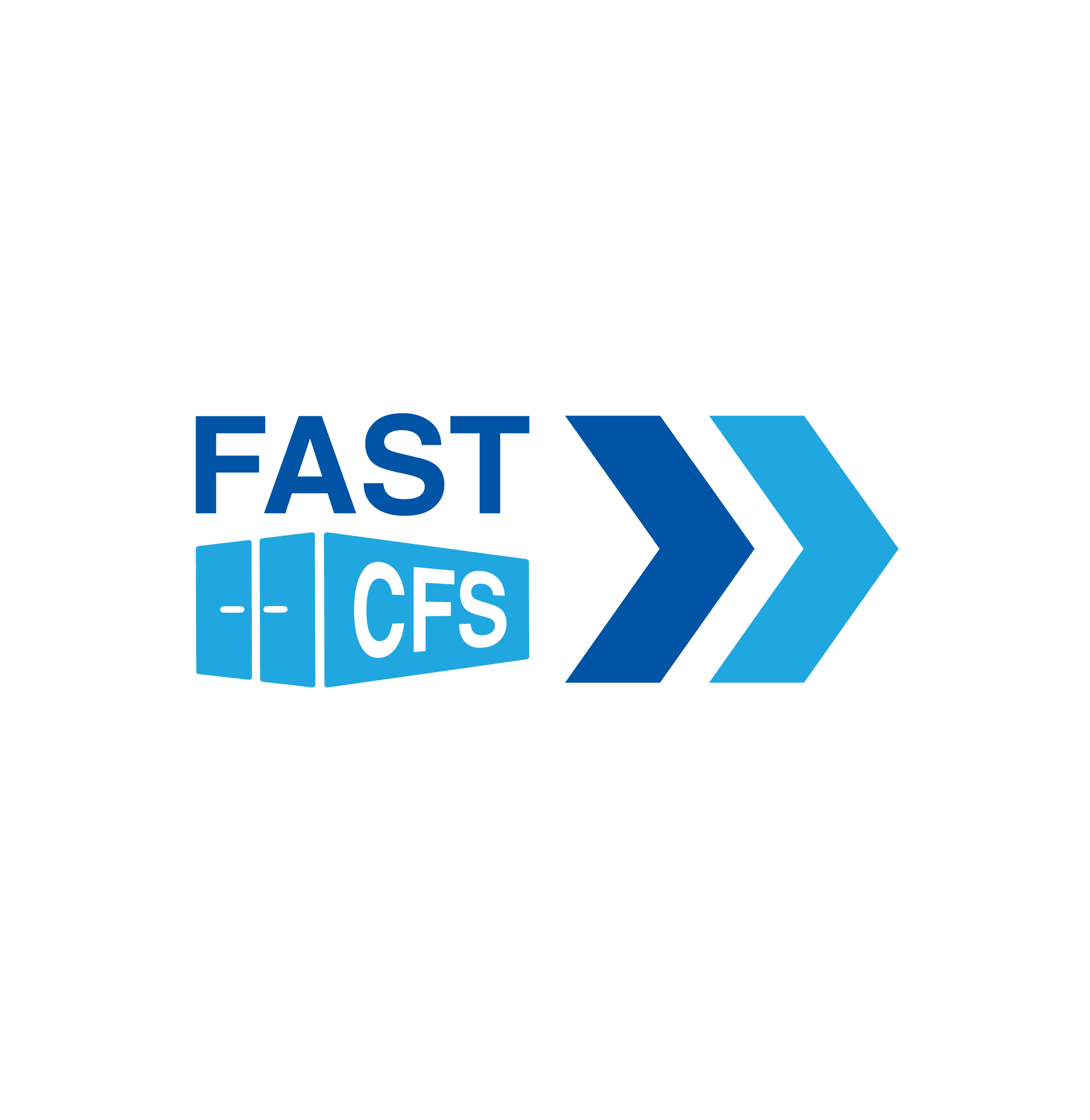 Fast CFS Cargo Services LLC — logistics partner of MASABO TRUCKING